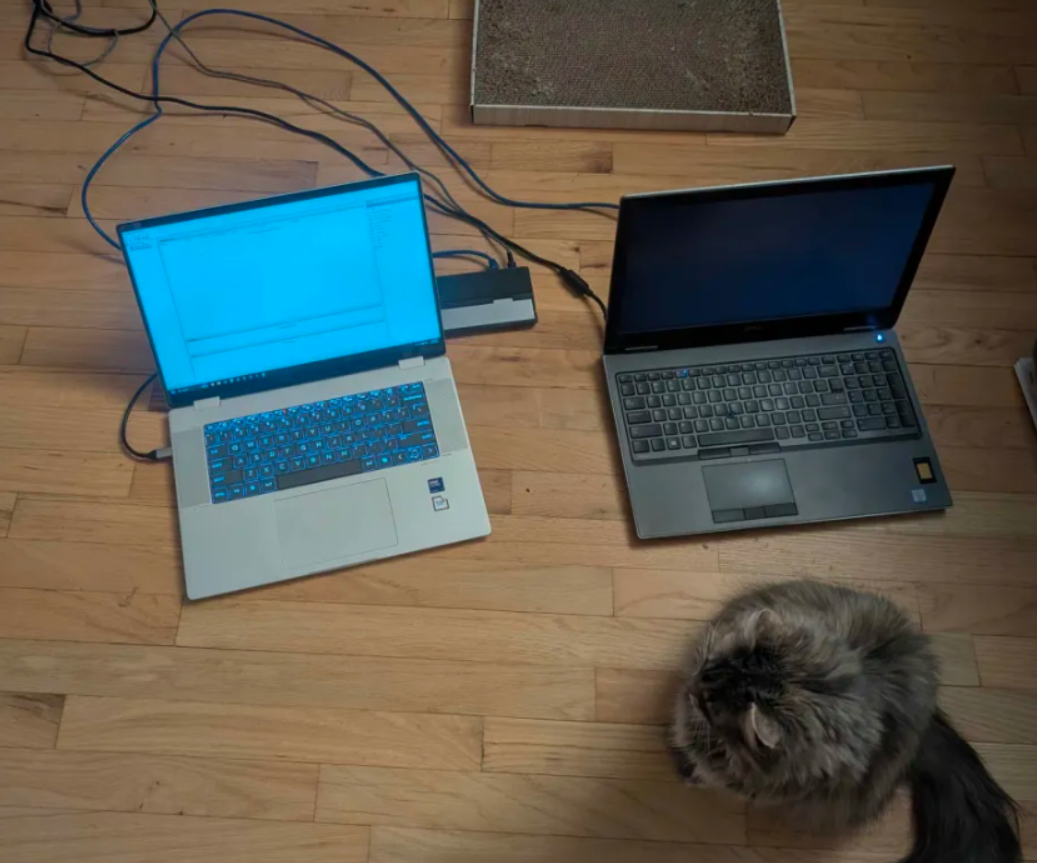 This is an image of my laptops connected and my cat
